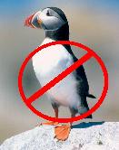 No Puffin